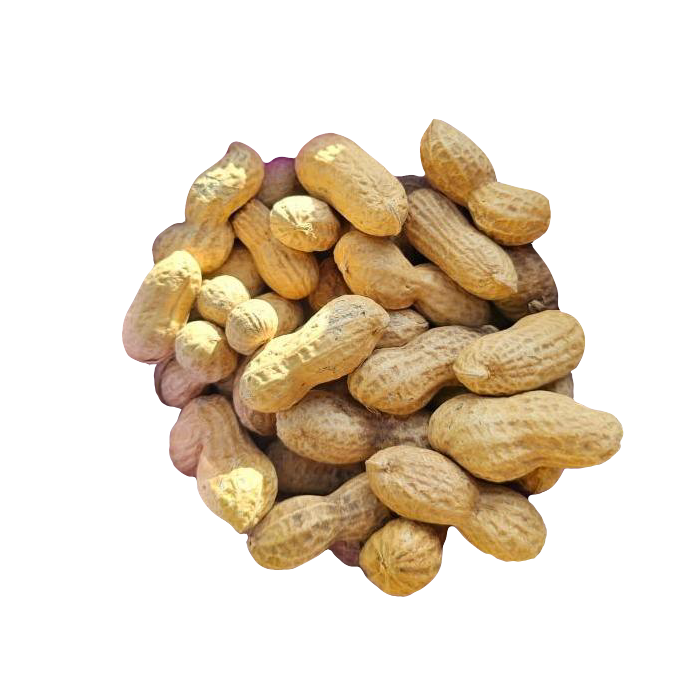 Maní entero con cáscara Puerto Montt