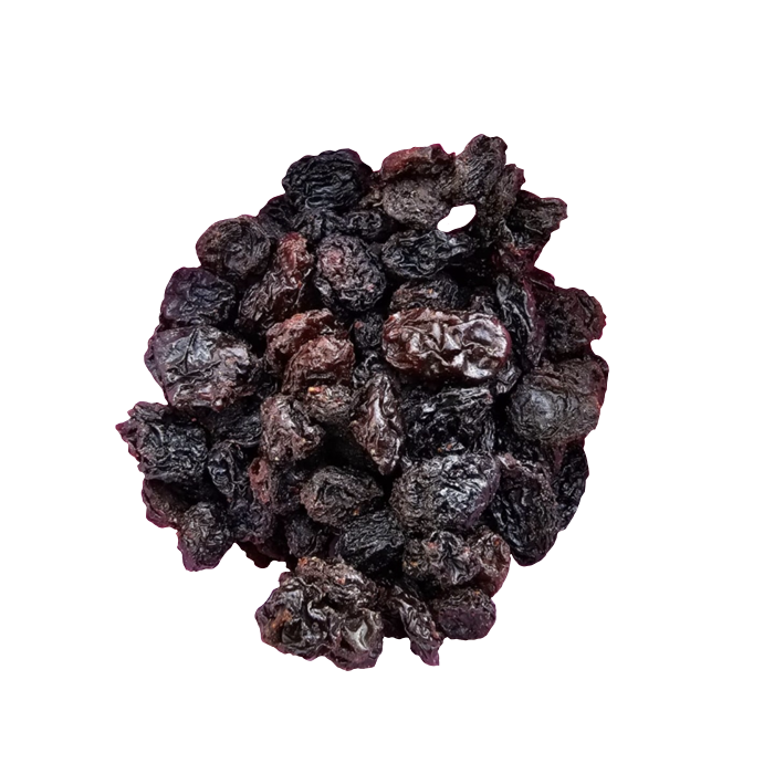 Pasas Puerto Montt puerto varas