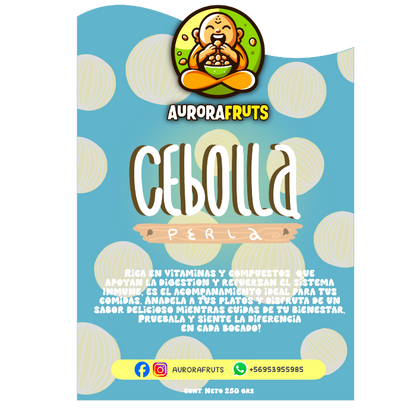 Cebolla_perla_puerto_montt