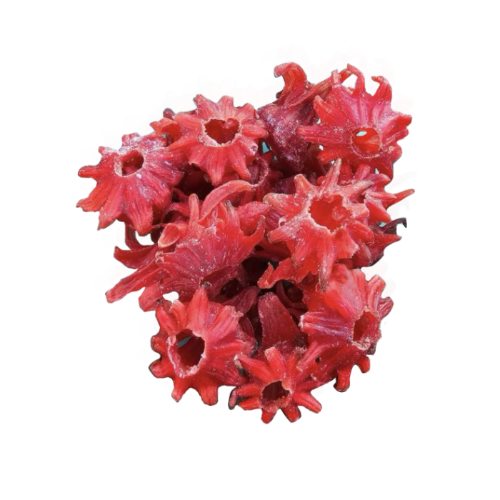 Flor de jamaica caramelizada