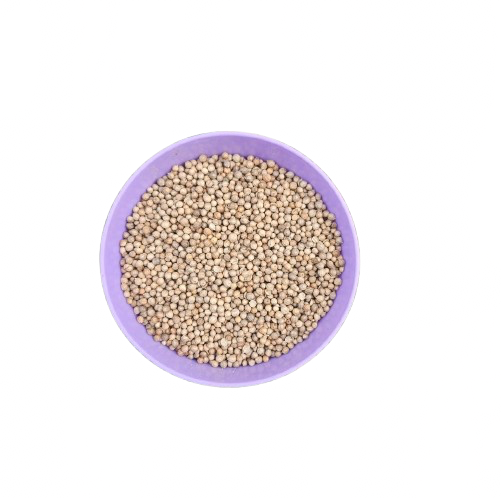 Semilla de Cilantro
